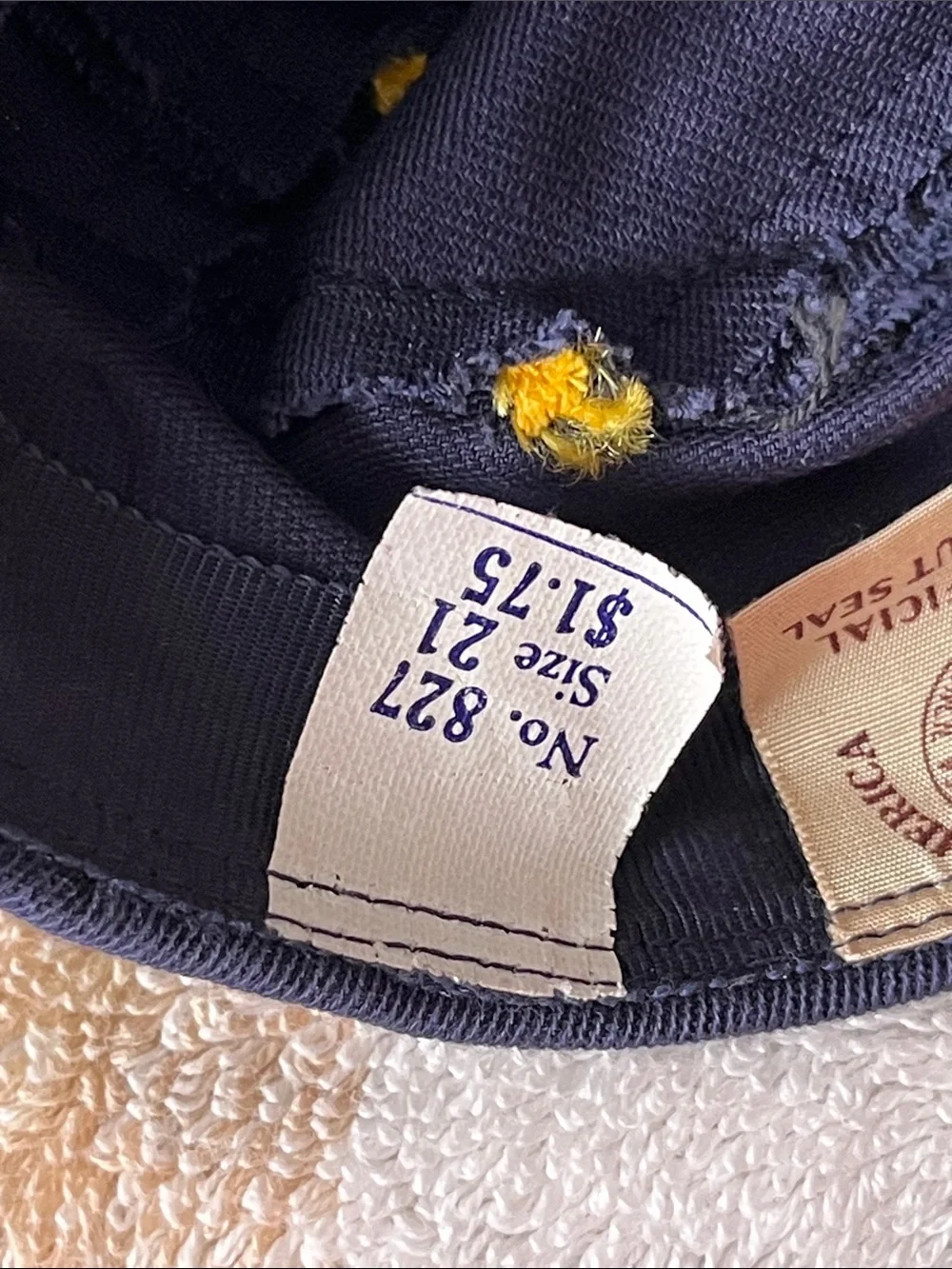 The official Boy Scout Seal classic navy
